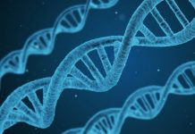 Γενετικής προέλευσης το 80% των σπανίων παθήσεων