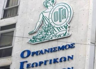 Ποια επιδόματα θα χορηγεί ο ΟΠΕΚΑ