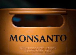 Κινδύνος για καρκίνο από ζιζανιοκτόνα και μεταλλαγμένα τρόφιμα