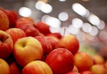 Εντός 2017 οι αποζημιώσεις καταστροφές σε κεράσια και μήλα