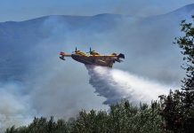 Σε ύφεση η φωτιά στο Εθνικό Πάρκο Δαδιάς-Λευκίμης Σουφλίου