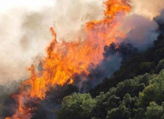 Πολύ υψηλός και σήμερα ο κίνδυνος φωτιάς – 58 πυρκαγιές σε 24 ώρες