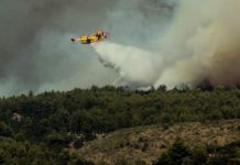 Φωτιά στη Βουπρασία Ηλείας