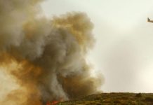 Ενημέρωση της Πυροσβεστικής για τη φωτιά στον Κάλαμο