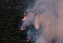 Σε ύφεση η φωτιά πίσω από το Σκοπευτήριο της Καισαριανής