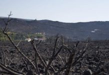 Αντιμετωπίστηκε η μικρή αναζωπύρωση της φωτιάς στα Κύθηρα