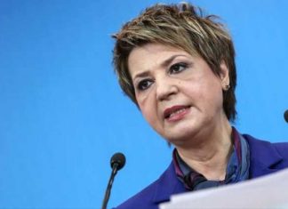 Ο. Γεροβασίλη: Αποτρόπαια ακροδεξιά η συμπεριφορά του Αδ. Γεωργιάδη