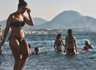 Πολύ μεγάλο πρόβλημα με τις τσούχτρες στον Κορινθιακό Κόλπο