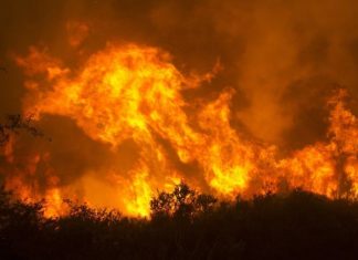 Νότια Γαλλία – πυρκαγιές: 1.000 πυροσβέστες στη μάχη με τις φλόγες