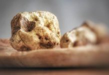 Bloomberg: Η Ελληνική τρούφα κατακτά τις ΗΠΑ