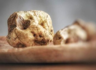 Bloomberg: Η Ελληνική τρούφα κατακτά τις ΗΠΑ