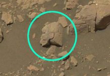 Spiegel: Tο κεφάλι πολεμιστή, σκαλισμένο σε πέτρα στον Άρη;