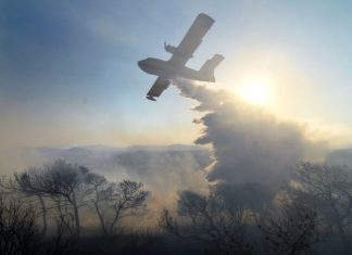 Υπό μερικό έλεγχο οι φωτιές σε Κερατέα και Φθιώτιδα, ύφεση σε Ιτέα και Λάρισα