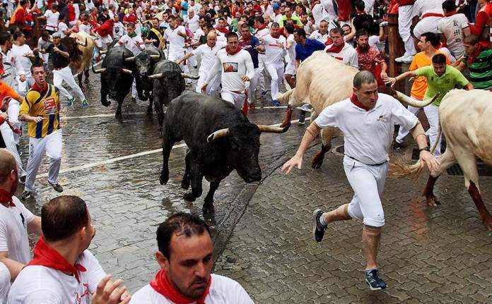 bullfights pamplona