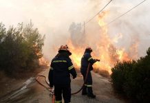 Φωτιά στις Πλατιές Κεφαλονιάς