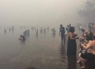 Πέθανε ο Κώστας Αρβανίτης, που έσωσε 70 ανθρώπους στο Μάτι