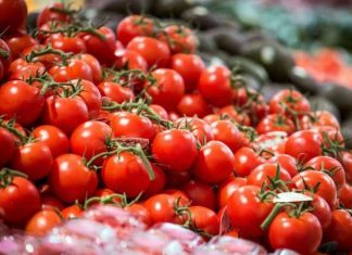 Δέσμευση 8 τόνων ντομάτας Πολωνίας στου Ρέντη