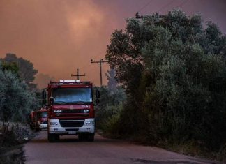 Χωρίς ενεργό μέτωπο η φωτιά στην Εύβοια – Πάνω από 25.000 στρέμματα κάηκαν