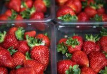 Νέα Ζηλανδία: Νέο περιστατικό με βελόνα σε φράουλες