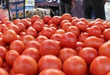 Κατάσχεση 441 κιλών ντομάτας Αλβανίας με υπολείμματα φυτοφαρμάκων