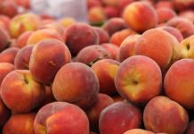 Αύξηση των εξαγωγών τροφίμων και των ποτών- καπνών τον Φεβρουάριο