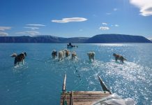 Φωτογραφία σοκ: Σε λίγες ώρες έλιωσε το 40% των πάγων της Γροιλανδίας