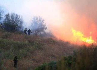 Υπό μερικό έλεγχο η φωτιά στα Πικουλιάνικα Λακωνίας – Σε ύφεση σε Κέρκυρα, Εύβοια και Ιεράπετρα