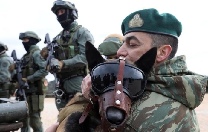 Greek army dogs soldiers