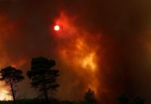 Τουρκία: 5 νεκροί και δεκάδες τραυματίες από τις δασικές πυρκαγιές