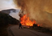 Κικίλιας: Εξαιρετικά κρίσιμο το 48ωρο, μόνο στο Έβρο εκδηλώθηκαν 14 πυρκαγιές