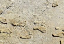 Βρέθηκαν οι αρχαιότερες πατημασιές ανθρώπων στην Αμερική ηλικίας 23.000 ετών