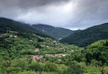 Απαγόρευση κυκλοφορίας σε περιοχές της Χαλκιδικής