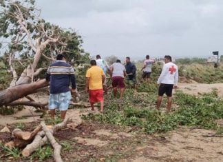 Ινδονησία: 6 νεκροί και 17 αγνοούμενοι από κατολίσθηση