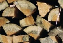 Στο ΦΕΚ η απόφαση για τα αποθέματα σε καυσόξυλα, πέλλετ, μπρικέτες κλπ